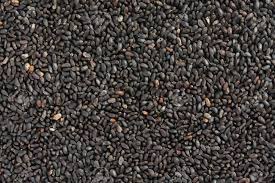 Basil Seeds - Thai