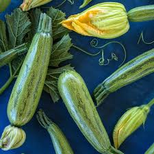 Squash (Summer) Seeds - Caserta