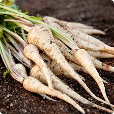 Parsnip Seeds - Harris Model