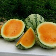 Watermelon Seeds (Organic) - Tendersweet Orange