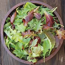 Lettuce Seeds - Mesclun Mix