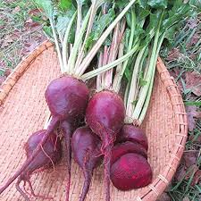 Beet Seeds - Lutz Green Leaf