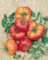 Tomato Seeds - German Johnson