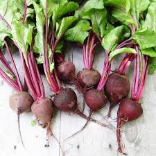 Beet Seeds - Crosby Egyptian