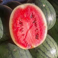 Watermelon Seeds - Florida Giant