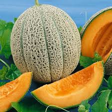 Melon Seeds - Hales Best Jumbo