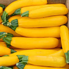 Squash Seeds (Organic) - Golden Zucchini