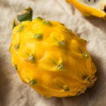 Dragon fruit pitaya seeds non GMO high germination rate