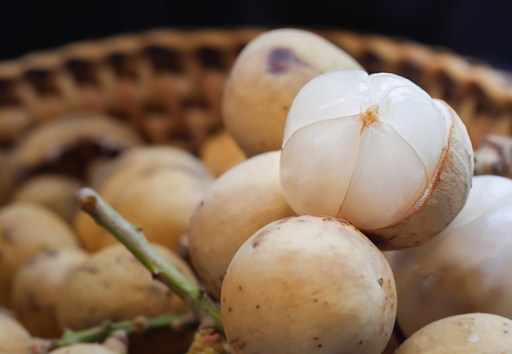 Duku Fruit (Lansium domesticum)