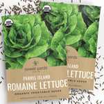 mature Parris Island Romaine Lettuce plants﻿ growing in garden bed