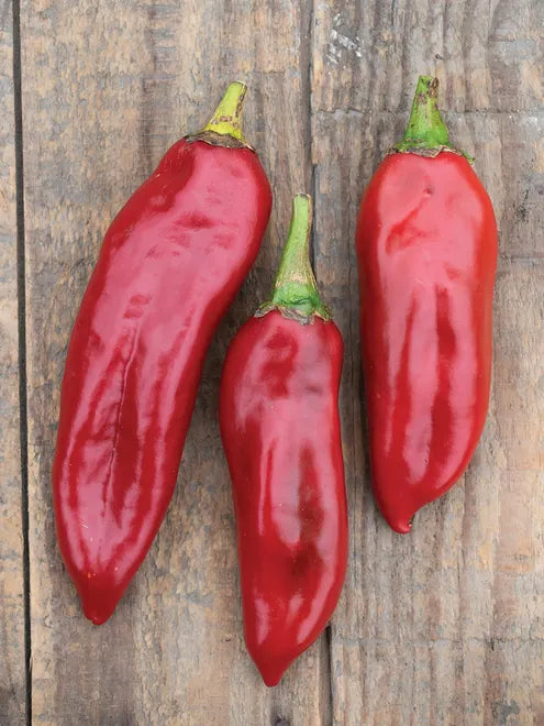 Hot Pepper Seeds - Anaheim Chili