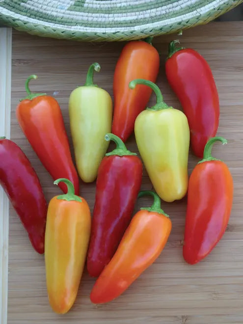 Hot Pepper Seeds - Santa Fe Grande