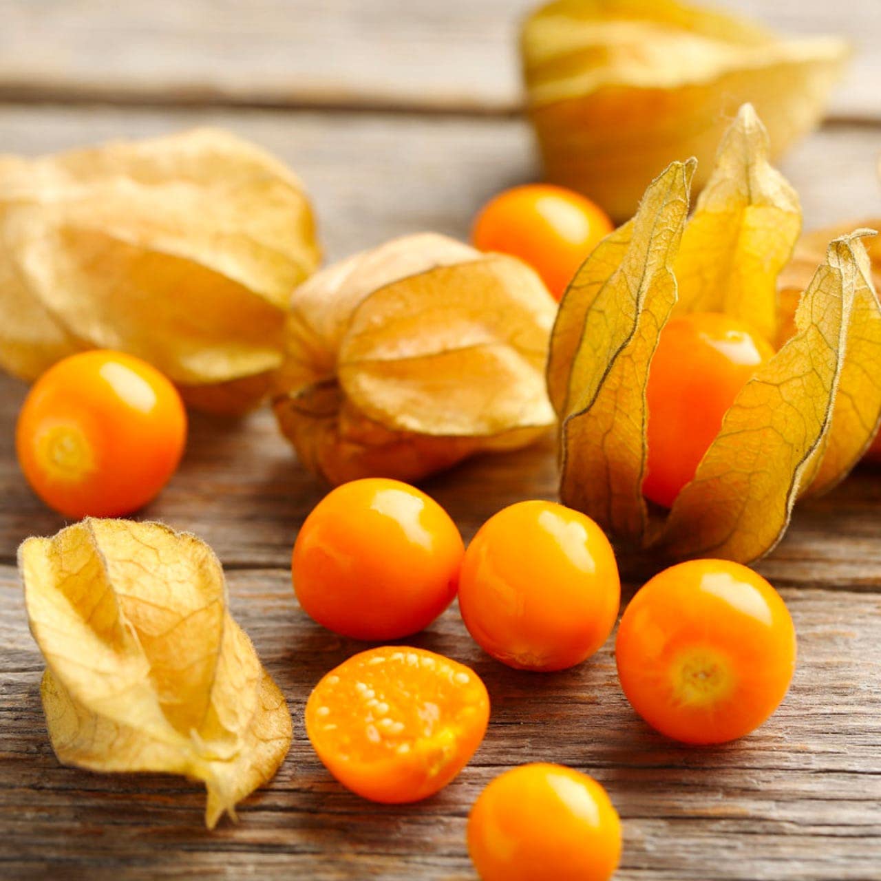 Edible ground cherry plant growing in a home garden