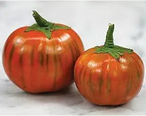 Eggplant Solanum Melongena Turkish Orange Vegetable Seeds for Planting – Unique Variety for Fresh Cooking and Garden Use - Dharaseeds