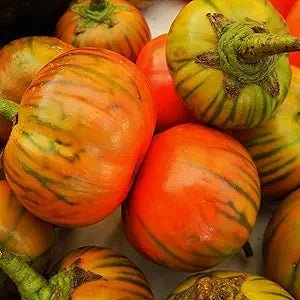 Eggplant Solanum Melongena Turkish Orange Vegetable Seeds for Planting – Unique Variety for Fresh Cooking and Garden Use - Dharaseeds
