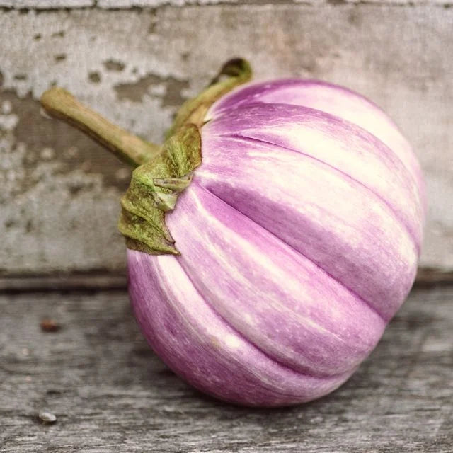 Eggplant Seeds - Rosa Bianca