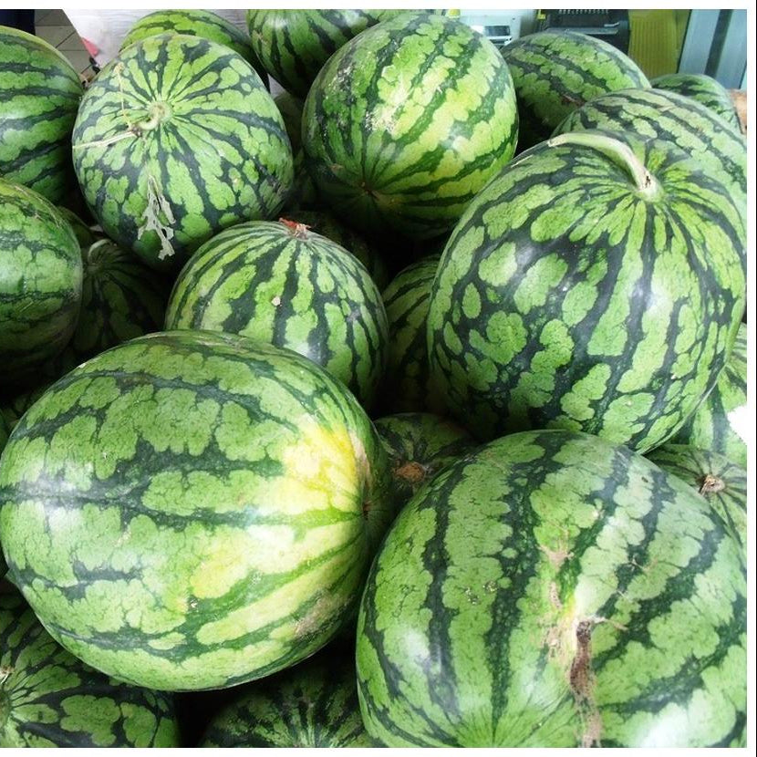 Exotic Kiwano melon seeds with vigorous vine growth