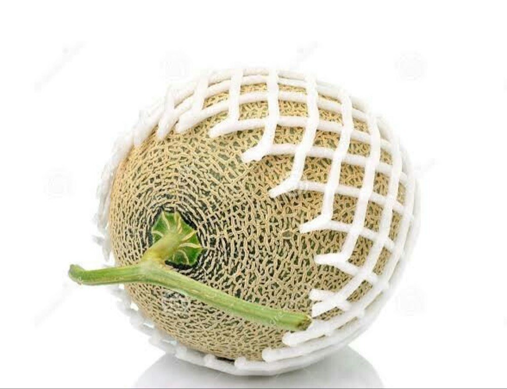Exotic tropical Kiwano seeds with high search demand