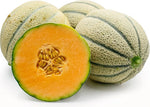 Extra sweet cantaloupe seeds for home garden growing