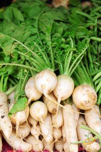 organic-mild-flavored-green-leafy-garden-seeds

