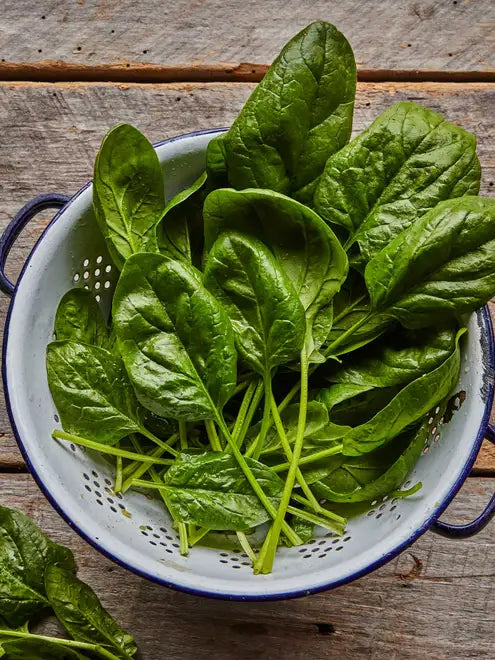 Spinach Seeds - Bloomsdale Long Standing