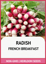 heirloom-vibrant-red-white-radish-roots

