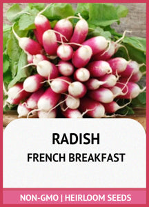 heirloom-vibrant-red-white-radish-roots

