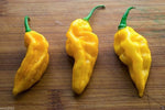 Fatalii Hot Pepper Seeds – Fiery Yellow Pepper with Citrus Flavor - Dharaseeds