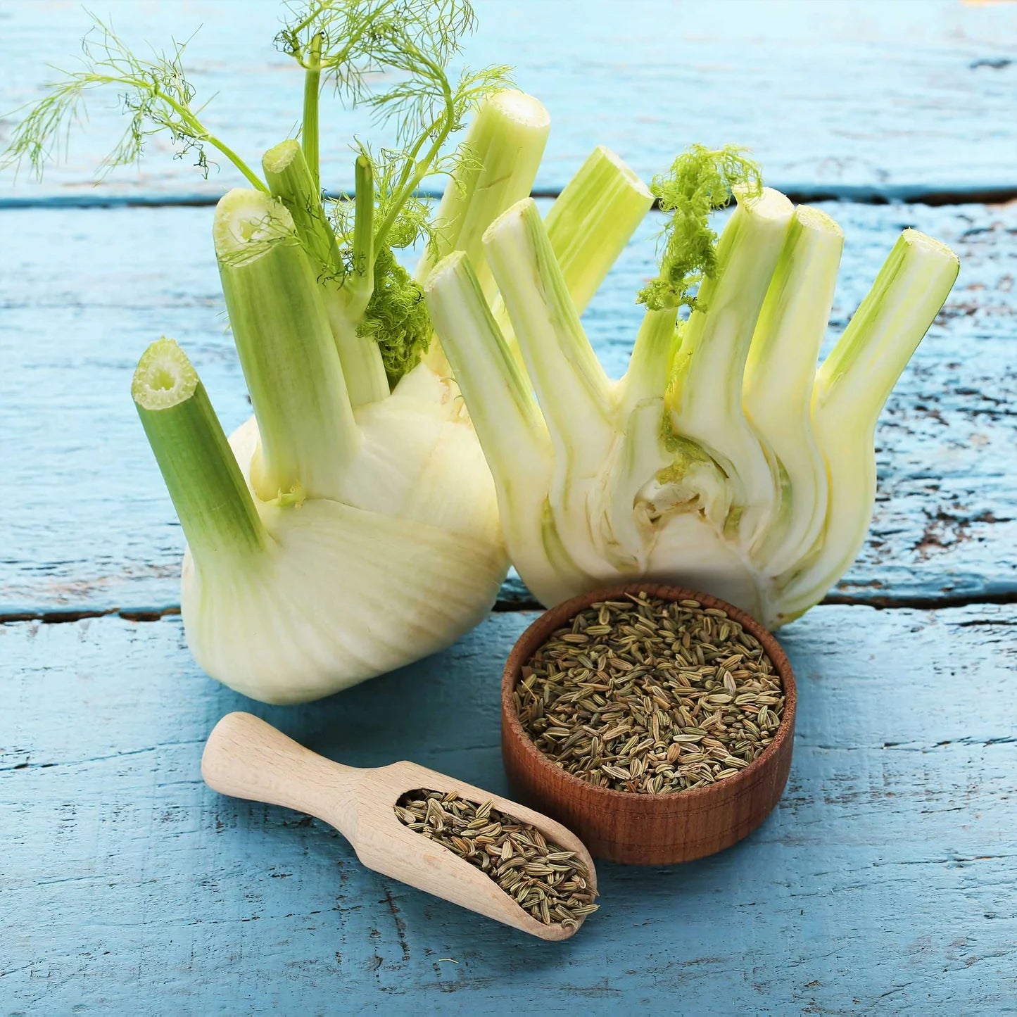 Fennel Seeds (Organic) - Florence