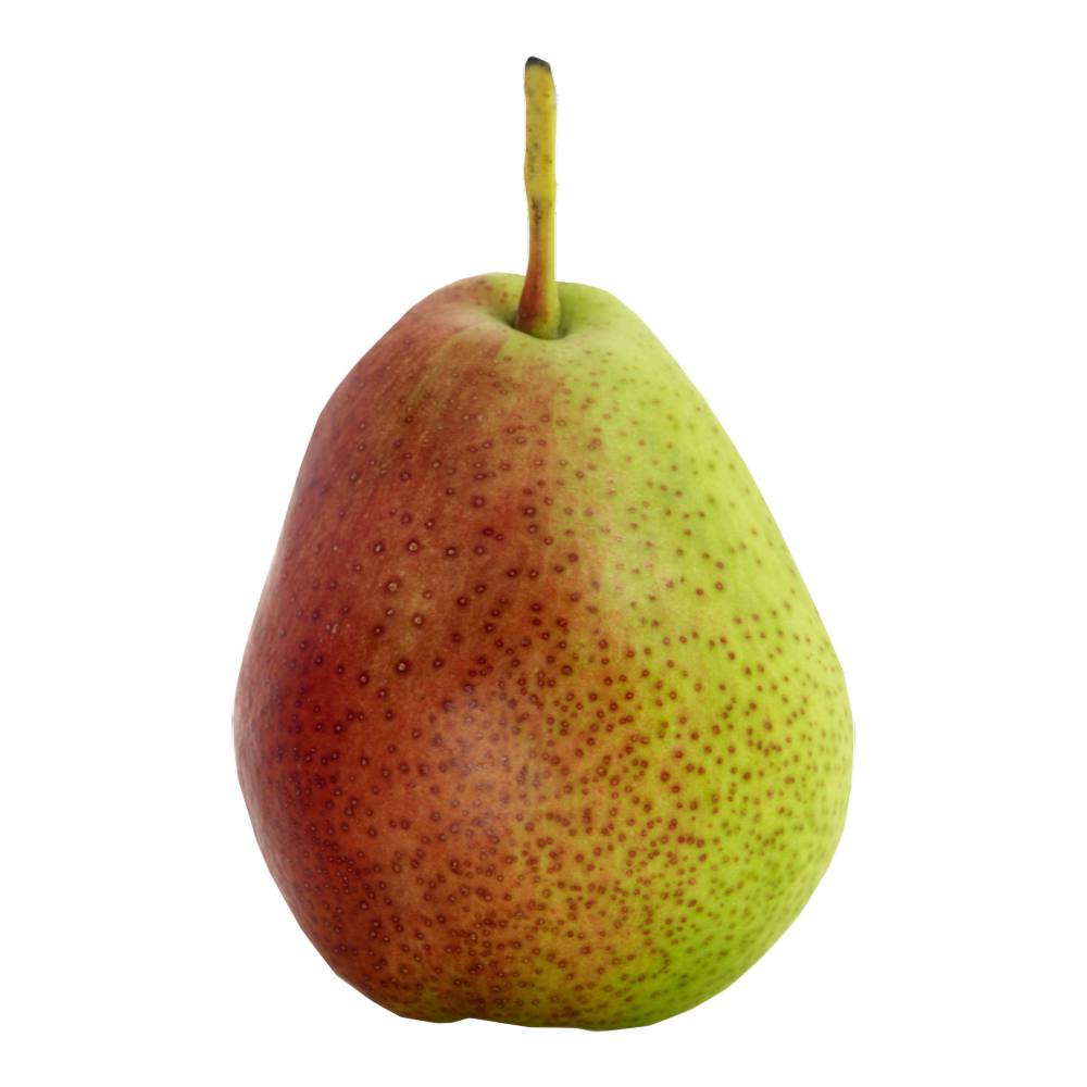 Queen's Forelle Pear Seeds