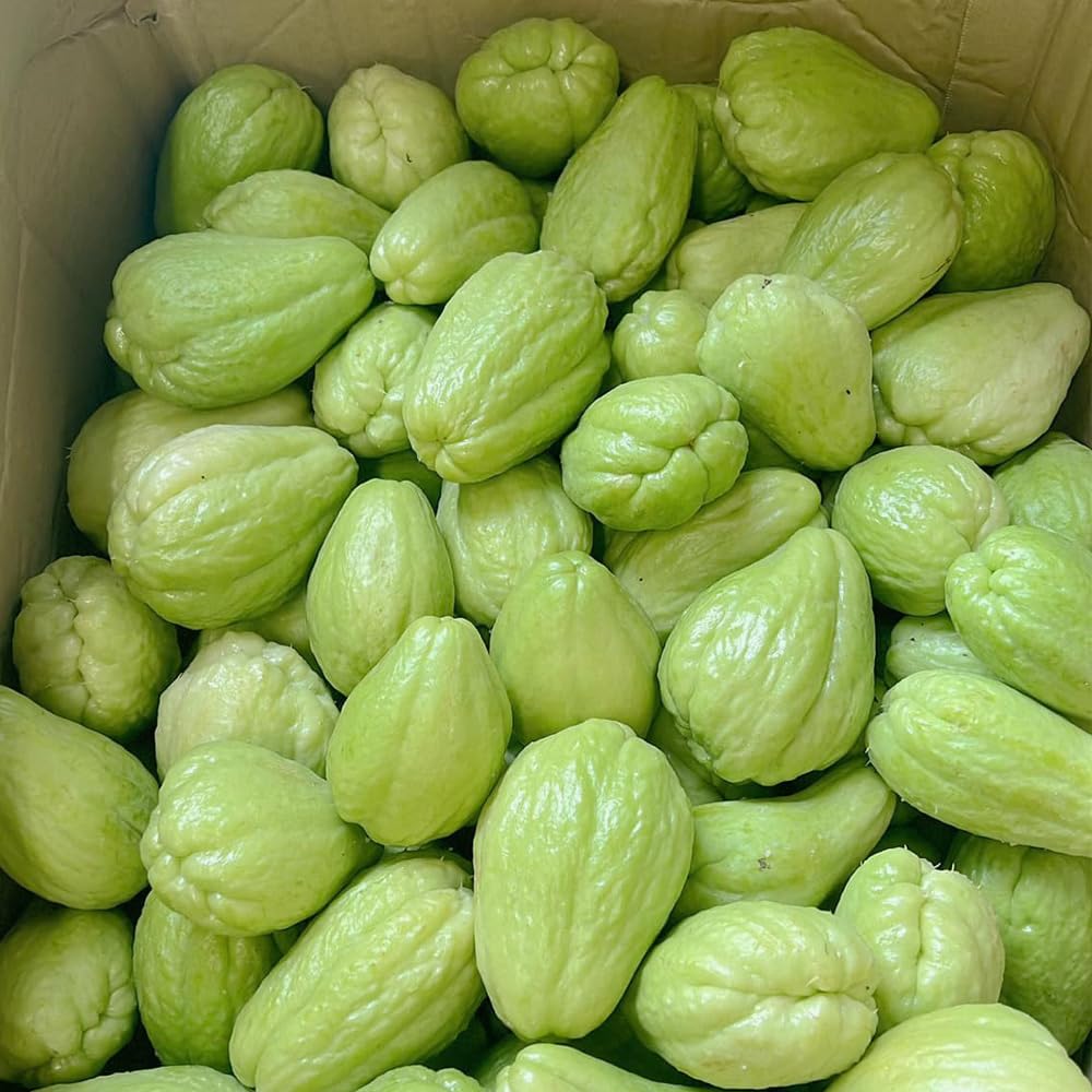 Fortune Squash Seeds – High - Yield Summer Squash Variety - Dharaseeds