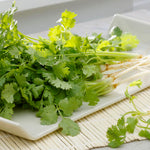 Heirloom Non-GMO Freizeit Coriander seeds for garden planting