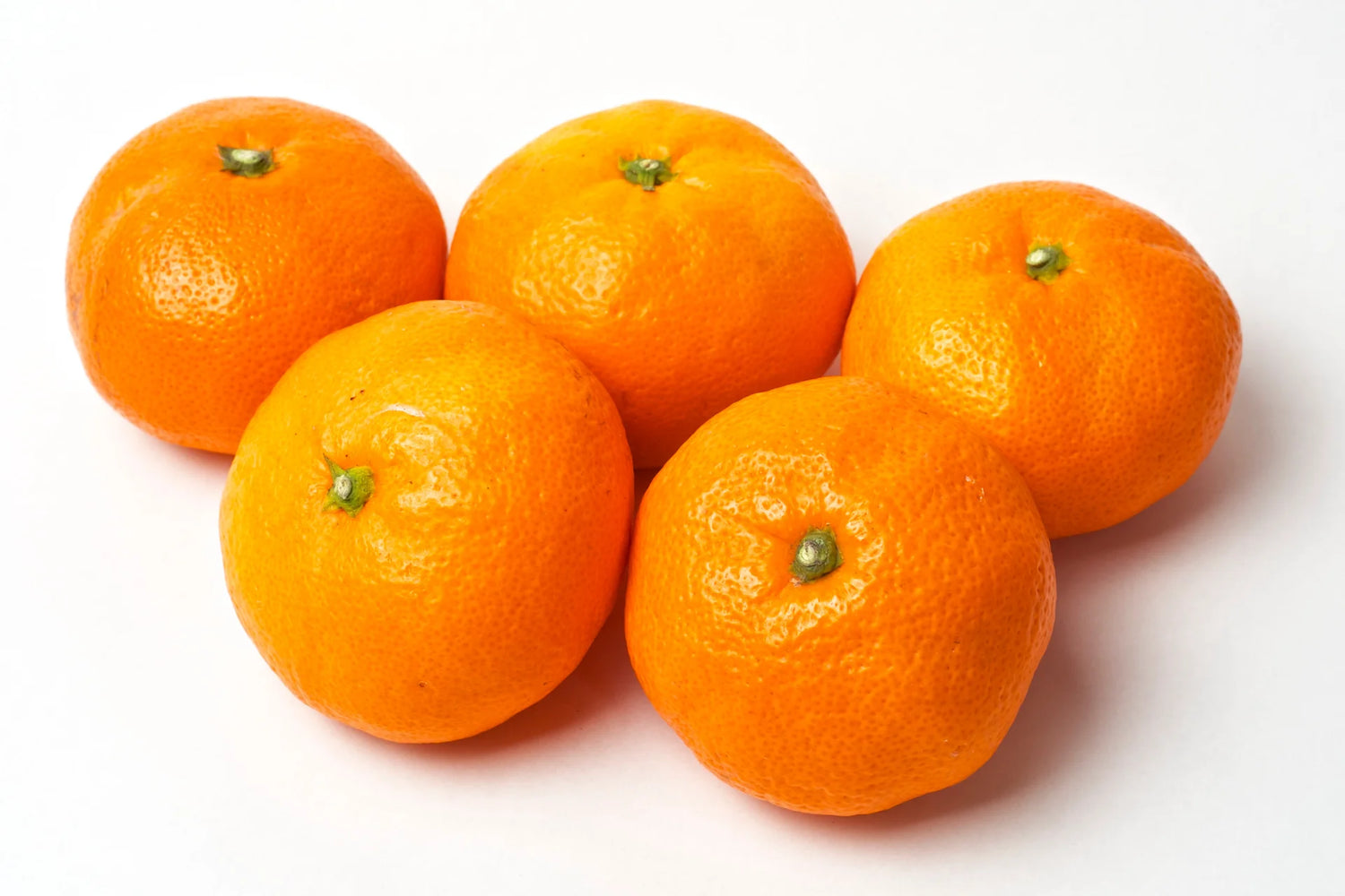 Tachibana Orange – A Rare Japanese Citrus with Unique Sweetness