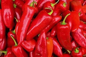 Fresno Chili Pepper Seeds – Organic Hot Peppers Hotter than Jalapeno - Dharaseeds