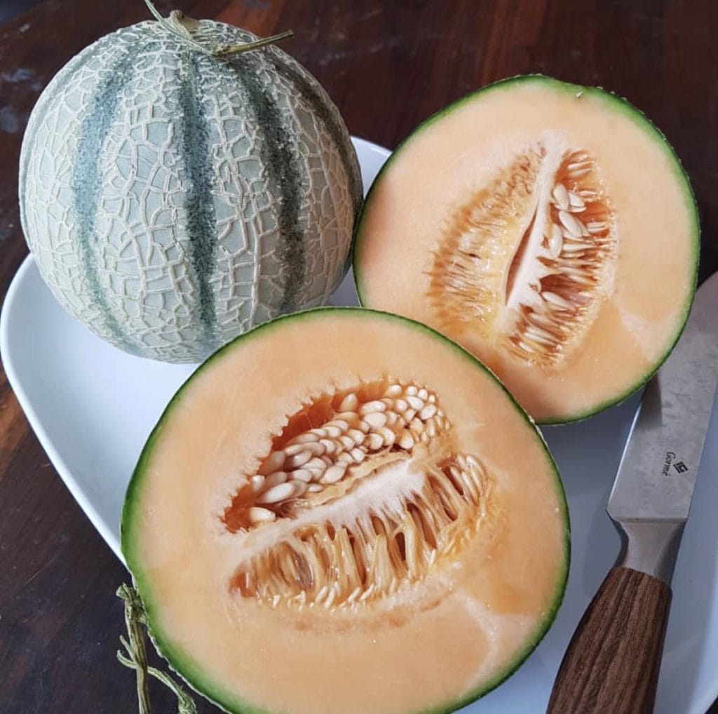 Zebra Melon Seeds (Cucumis melo / Common Name: Zebra Melon)