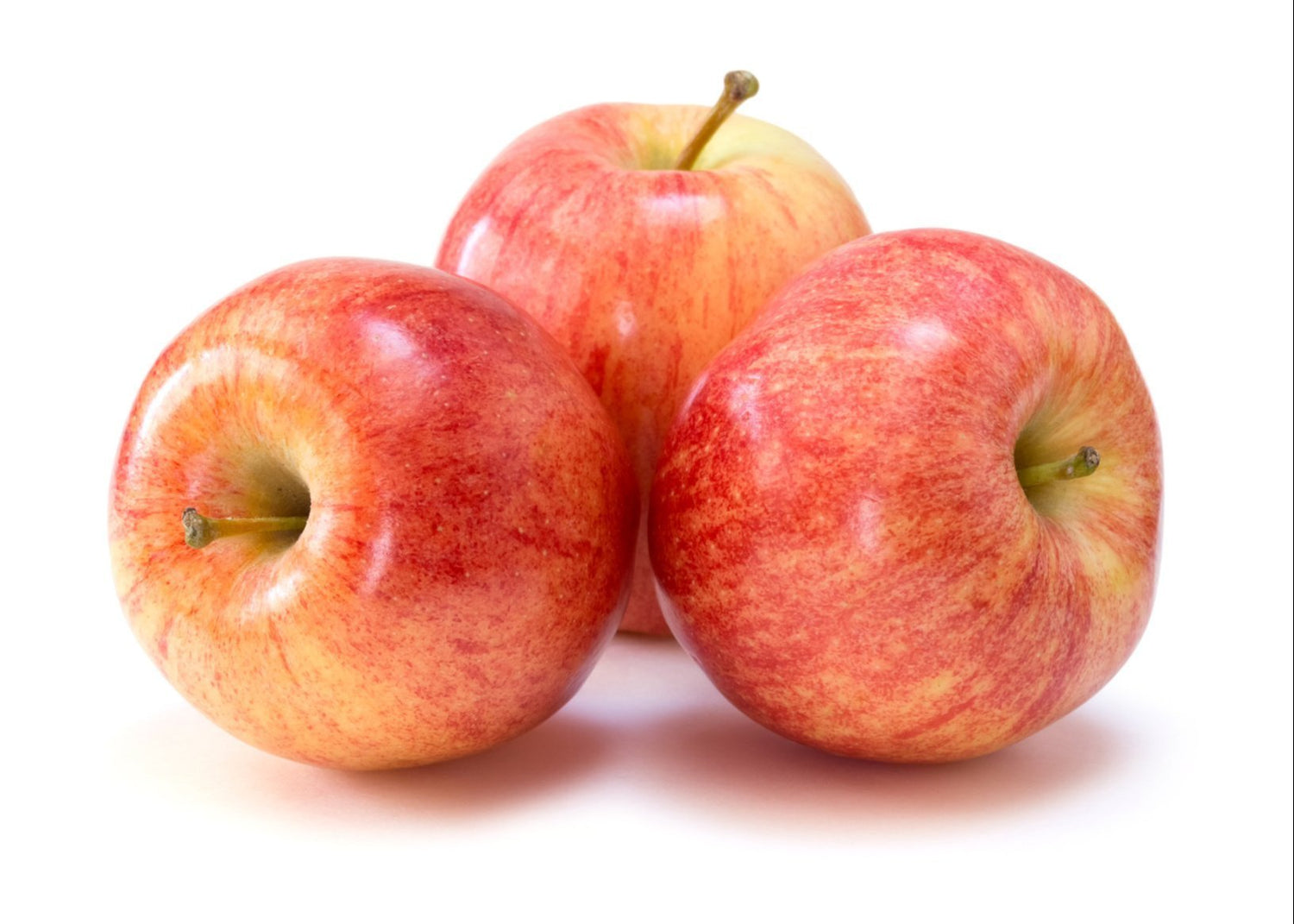 Fuji Apple (Malus domestica)