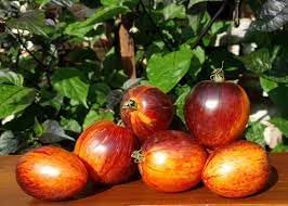 Gargamel Vegetable Seeds for Planting - 100 Pcs pcs - Dharaseeds