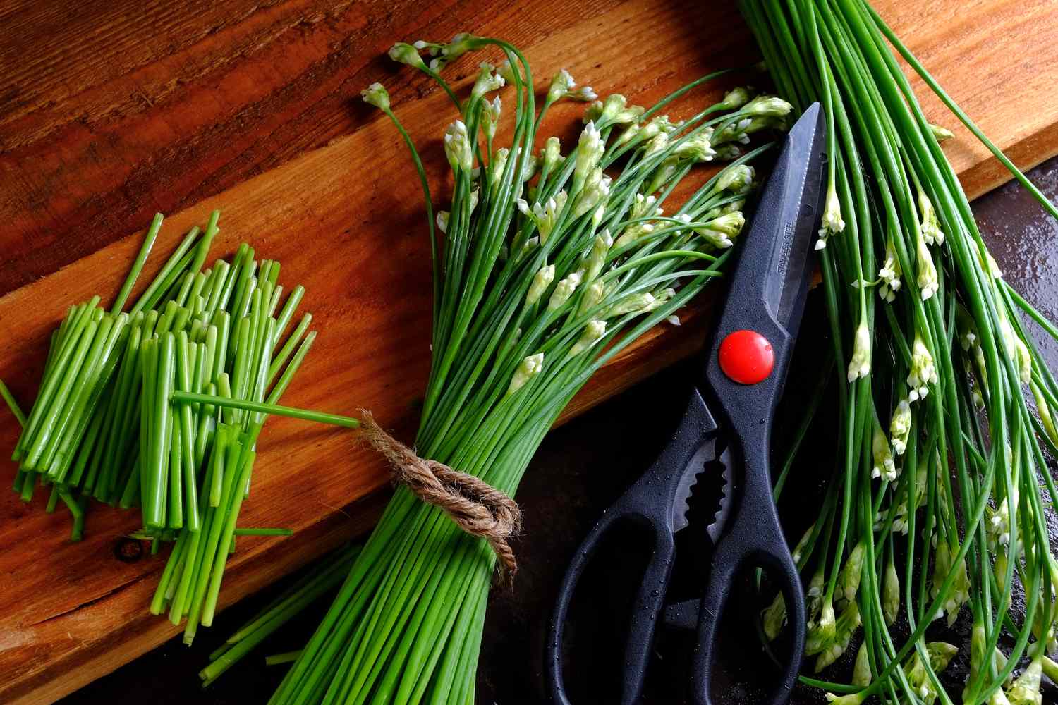 Chive Vegetable Seeds for Planting heirloom & Non-GMO Seeds