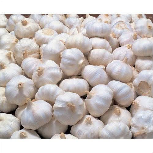 White Rocambole Garlic Seeds for Planting