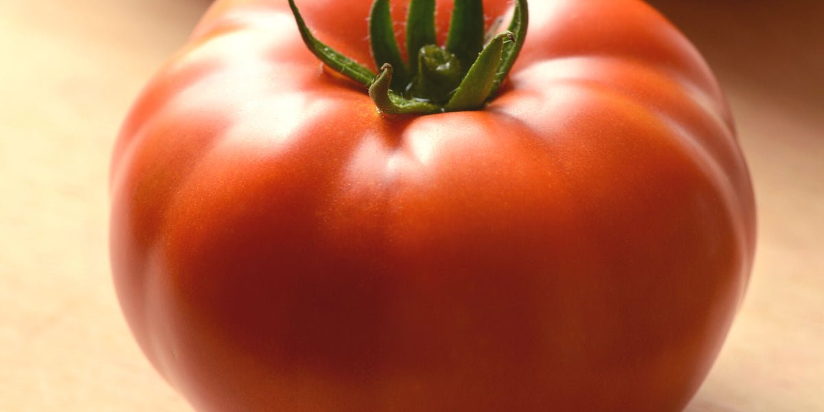 Genuwine Tomato Solanum lycopersicum hybrid vegetable seeds for planting in midseason backyard gardens - Dharaseeds