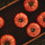 German Giant Tomato Solanum lycopersicum vegetable seeds for planting in kitchen gardens - Dharaseeds