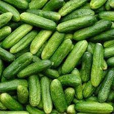 Gherkin Vegetable Seeds for Planting - 100 Pcs pcs - Dharaseeds