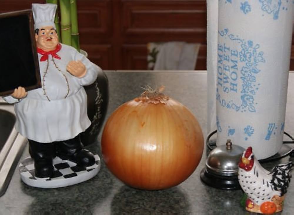 Giant Grand Colossus Onion Seeds – Extra - Large American Onion Variety - Dharaseeds