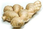 Ginger Vegetable Seeds for Planting - 100 Pcs pcs - Dharaseeds