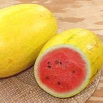 Golden Pioneer watermelon plant growth stages