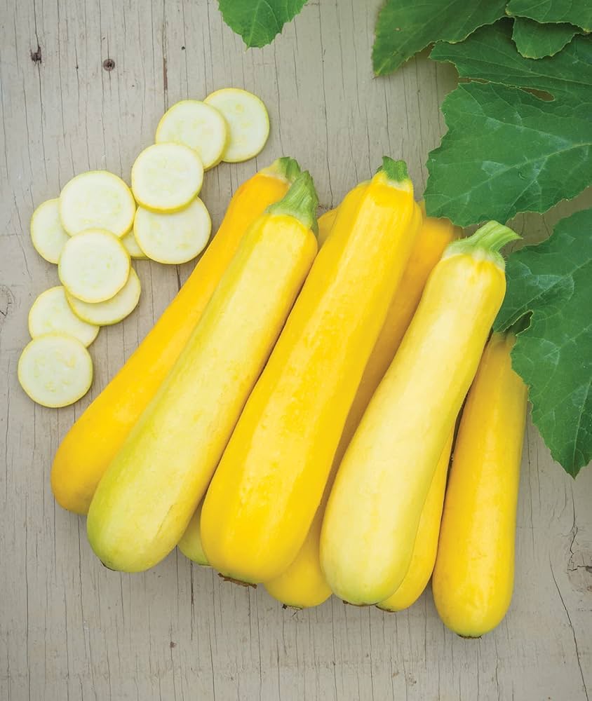 Golden zucchini squash Cucurbita pepo heirloom vegetable seeds for planting in summer kitchen gardens or pots - Dharaseeds