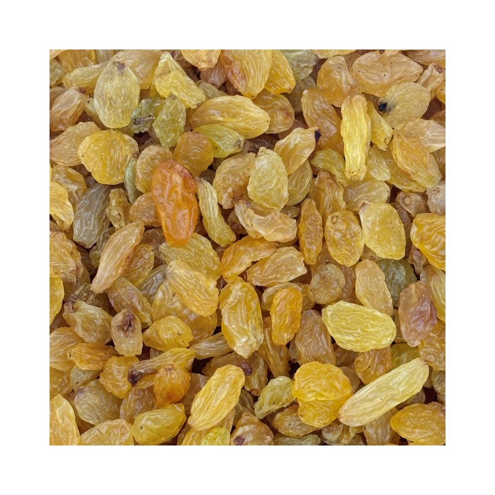 Golden Raisins (Vitis vinifera)