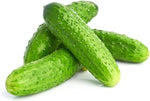 Green Cucumber vegetable seeds – fresh fruit cucumber variety - Dharaseeds