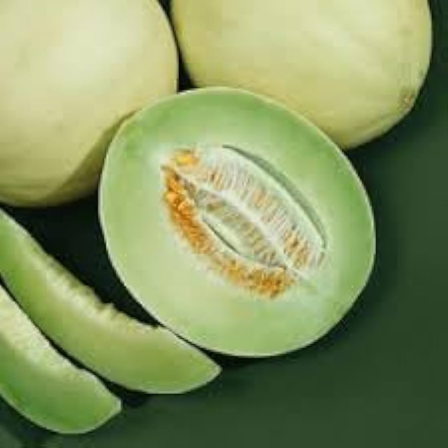Green flesh honeydew melon seeds ideal for summer garden growing