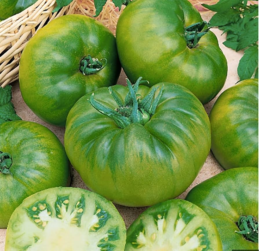 Green Giant Tomato Seeds – Large and Juicy Heirloom Variety - Dharaseeds